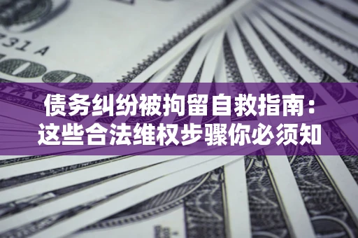 北京债务纠纷被拘留自救指南：这些合法维权步骤你必须知道！