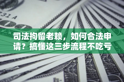 北京司法拘留老赖，如何合法申请？搞懂这三步流程不吃亏！