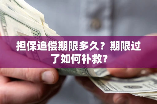 北京担保追偿期限多久？期限过了如何补救？