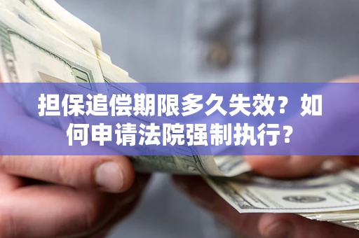 北京担保追偿期限多久失效？如何申请法院强制执行？