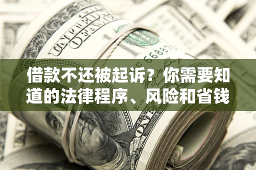 北京借款不还被起诉？你需要知道的法律程序、风险和省钱技巧
